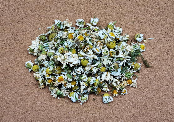 Ромашка аптечная (Matricaria chamomilla)