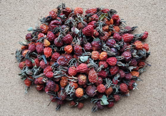 Шиповник морщинистый - плоды (Rosa rugosa)